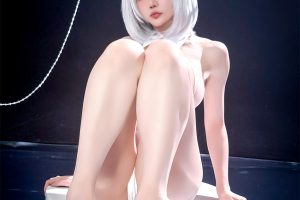 星之迟迟天狼星兔女郎58p